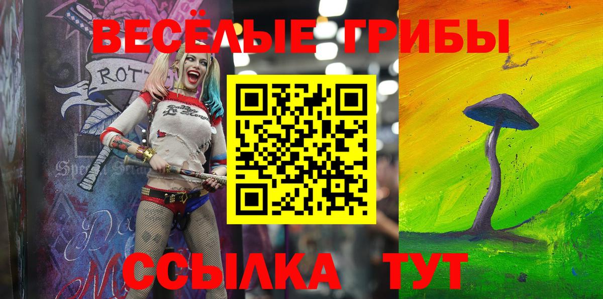 Псилоцибиновые грибы мухоморы  Вход с VPN  Междуреченск 