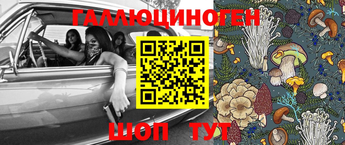 Псилоцибиновые грибы мухоморы Междуреченск